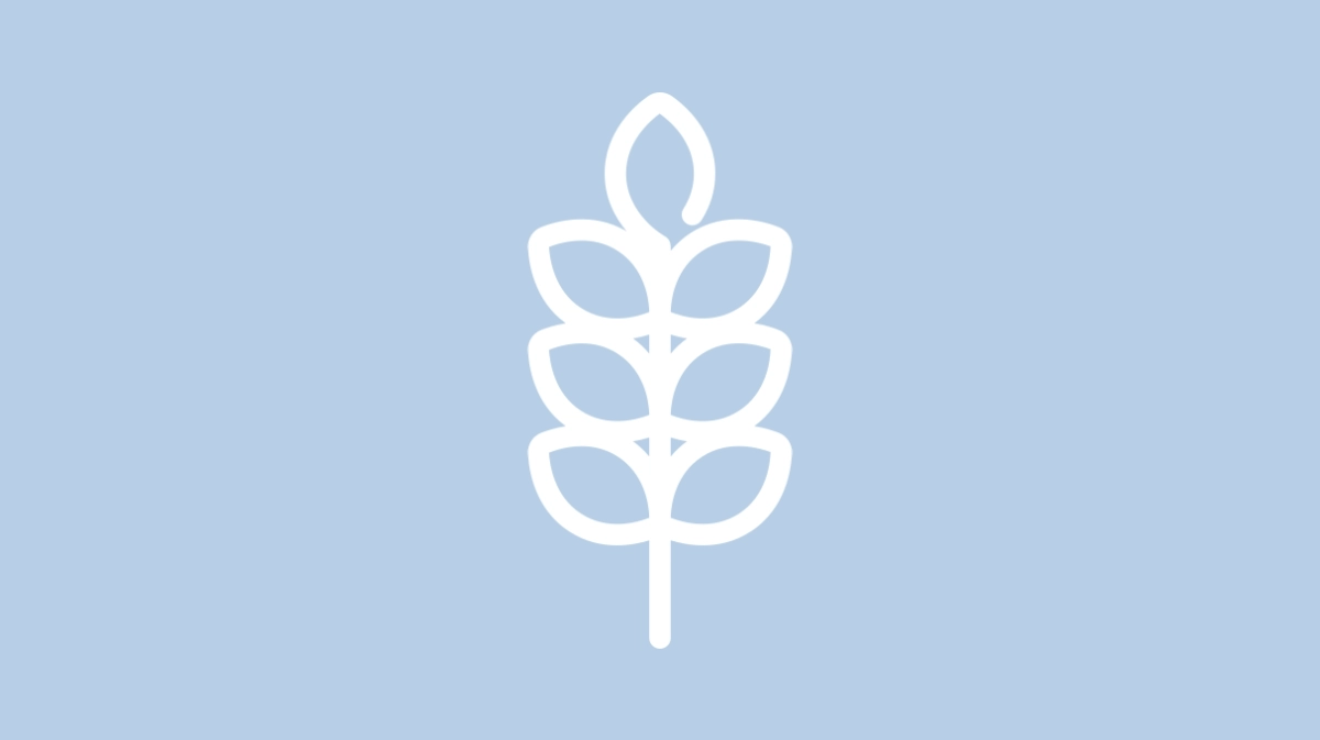 ikona alergologii- biały zarys kłosa na jasnoniebieskim tle