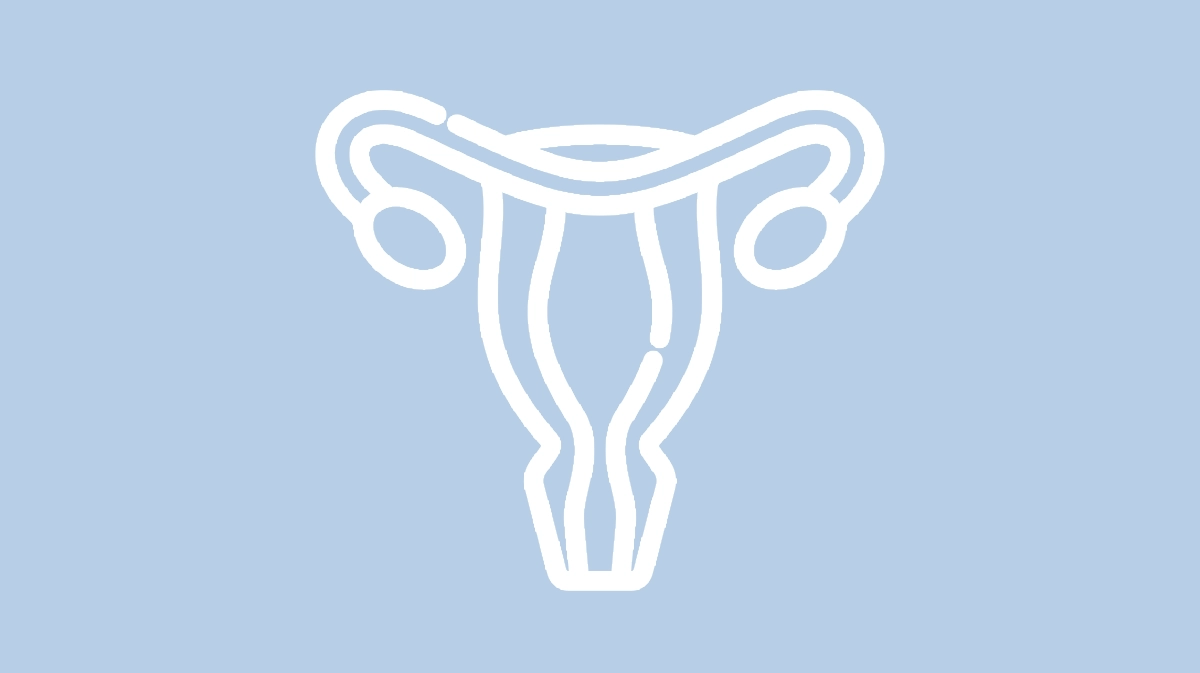 Ikona ginekologii- biały zarys macicy na jasnoniebieskim tle.